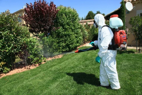Del Rio Mosquito Control