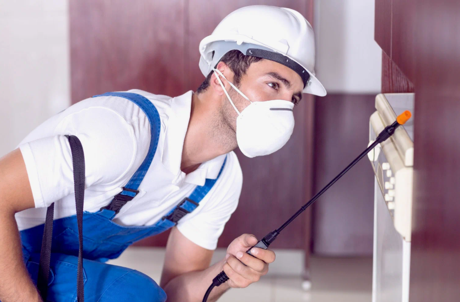 Del Rio local pest services