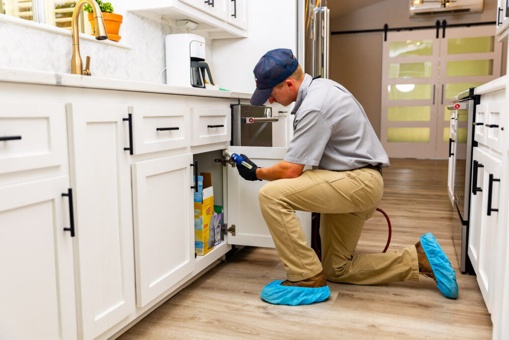 Del Rio xpert pest management